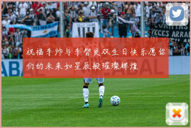 祝福李帅与李智良双生日快乐愿你们的未来如星辰般璀璨辉煌